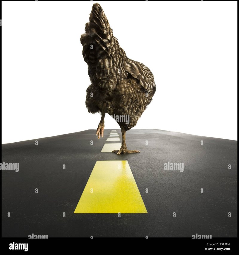 En savoir plus sur chicken road demo